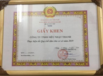 Thành tích SNT 2019