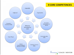 chuyên môn, người trợ lý, Siêu Nhật Thanh, SNT, trợ lý