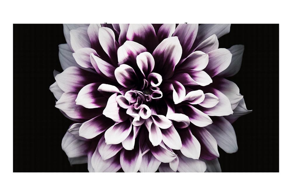 Cloud Zoom small image