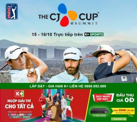 Các giải thể thao đặc sắc trong tuần